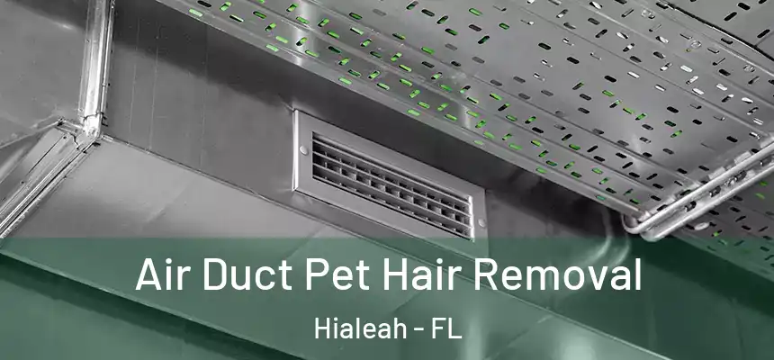  Air Duct Pet Hair Removal Hialeah - FL