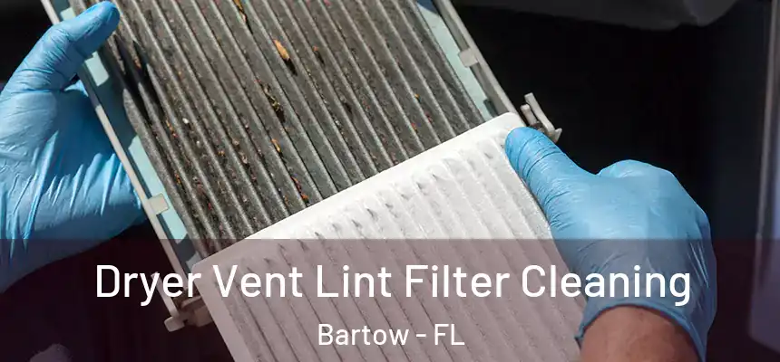 Dryer Vent Lint Filter Cleaning Bartow - FL