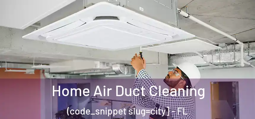  Home Air Duct Cleaning (code_snippet slug=city] - FL