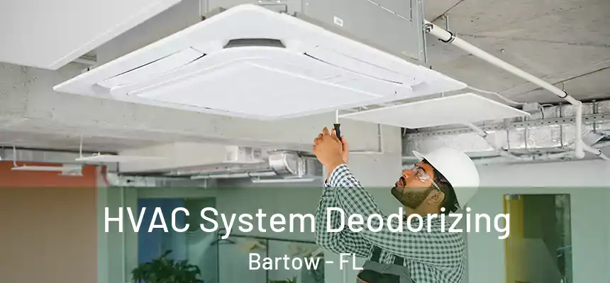 HVAC System Deodorizing Bartow - FL