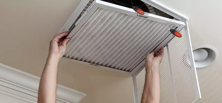 Preventive Cockroach-Proofing for Ducts in Hialeah