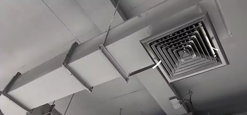 Our Pest Removal From Ducts Services in Hialeah, FL