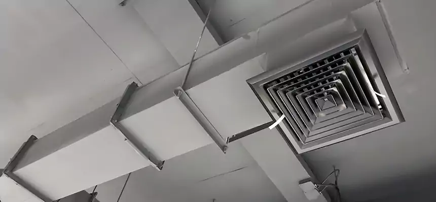 Our Rodent Droppings In Vents Services in Hialeah, FL