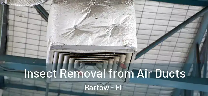  Insect Removal from Air Ducts Bartow - FL