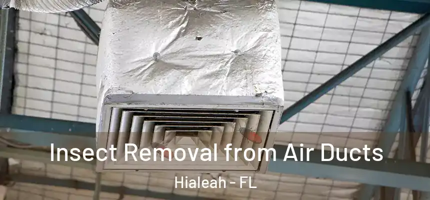 Insect Removal from Air Ducts Hialeah - FL