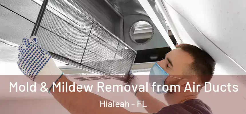  Mold & Mildew Removal from Air Ducts Hialeah - FL