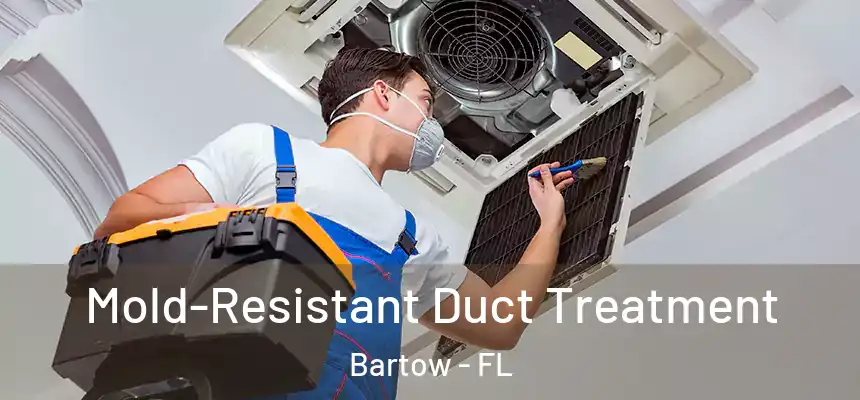  Mold-Resistant Duct Treatment Bartow - FL