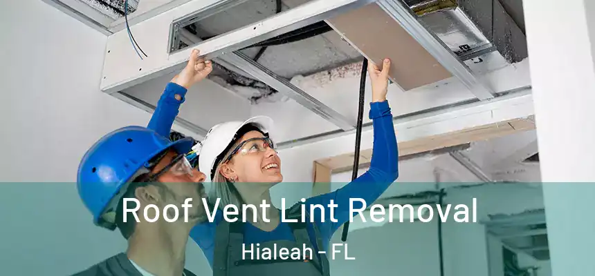 Roof Vent Lint Removal Hialeah - FL