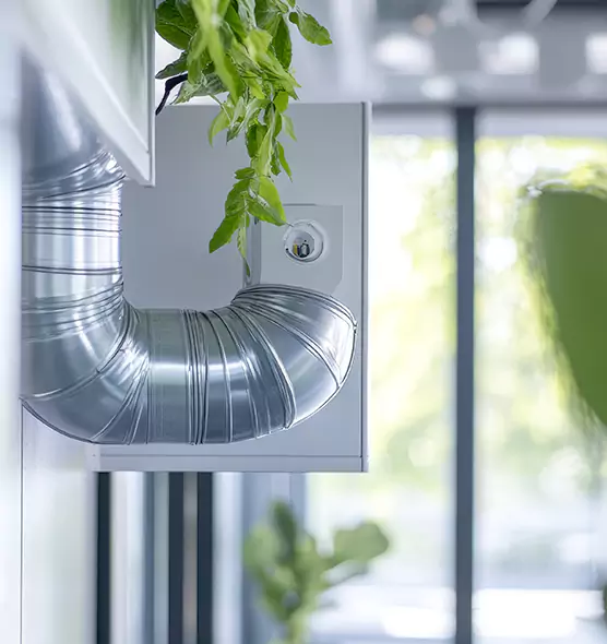 Professional Eco-Safe Dryer Vent Cleaning in Bartow, FL