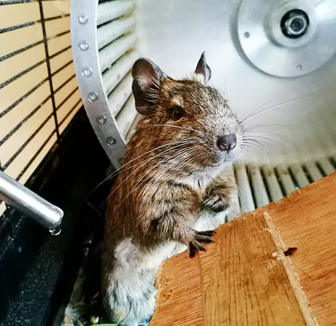 Why Homeowners & Businesses Trust Us Hialeah, FL