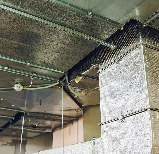 Why Homeowners & Businesses Trust Us in Hialeah, FL?