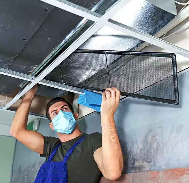 Why Homeowners Businesses Trust Us in Hialeah, FL